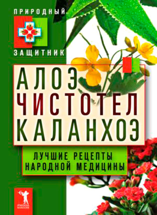 Алоэ, чистотел, каланхоэ: лучшие рецепты народной медицины