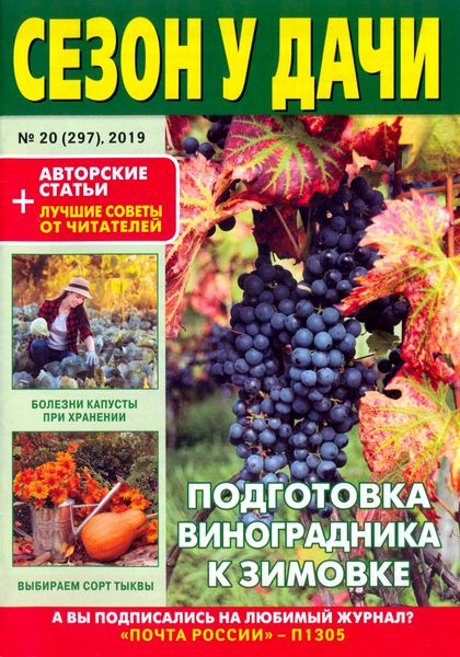 Журнал Сезон у дачи №20