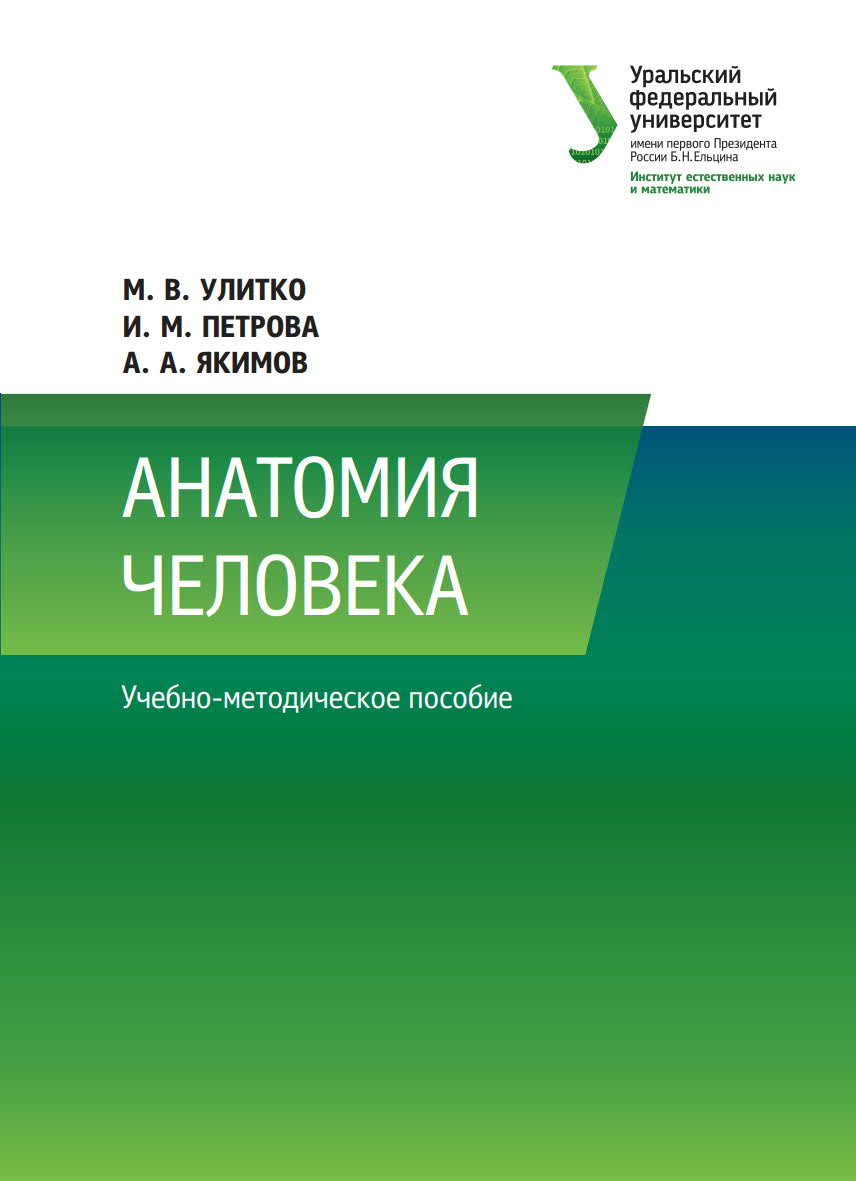 Анатомия человека Учебное пособие